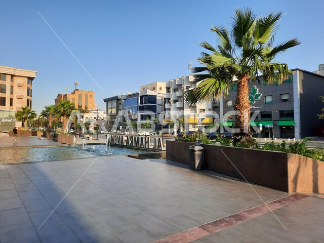 الاهتمام بالاشجار والنباتات الخضراء, الحدائق والمنتزهات في كورنيش جدة بالمملكة العربية السعودية، أماكن ومعالم سياحية مشهورة, الاستمتاع بالمناظر الطبيعيه في وقت النهار