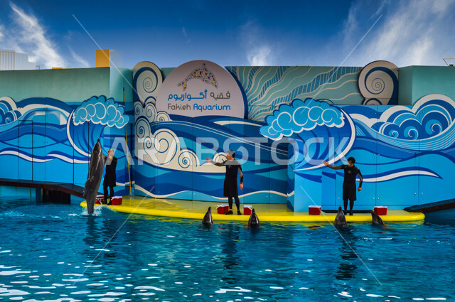 فقيه اكواريوم ، واجهة ترفيهية بجدة في المملكة العربية السعودية ، عروض الدلافين ، معرض بحري للبيئة المائية في البحر الأحمر ، حوض مائي صناعي