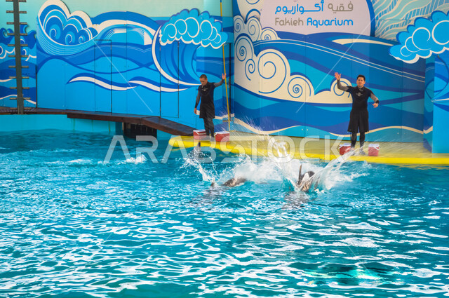 Fakieh Aquarium, an entertainment front in Jeddah in the Kingdom of Saudi Arabia, dolphin shows, a marine exhibition for the aquatic environment in the Red Sea, an artificial aquarium
