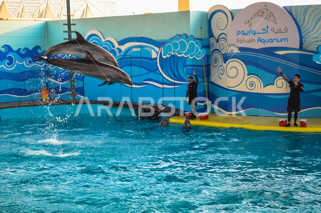 فقيه اكواريوم ، واجهة ترفيهية بجدة في المملكة العربية السعودية ، عروض الدلافين ، معرض بحري للبيئة المائية في البحر الأحمر ، حوض مائي صناعي