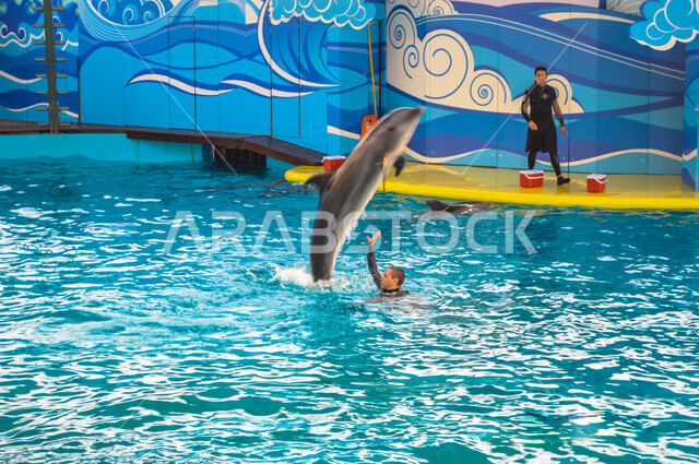 Fakieh Aquarium, an entertainment front in Jeddah in the Kingdom of Saudi Arabia, dolphin shows, a marine exhibition for the aquatic environment in the Red Sea, an artificial aquarium