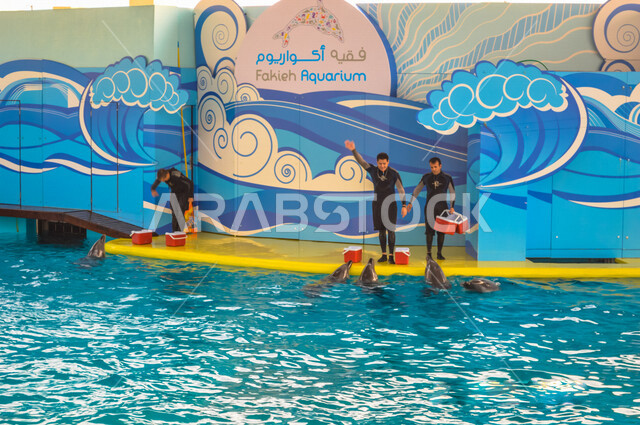 فقيه اكواريوم ، واجهة ترفيهية بجدة في المملكة العربية السعودية ، عروض الدلافين ، معرض بحري للبيئة المائية في البحر الأحمر ، حوض مائي صناعي