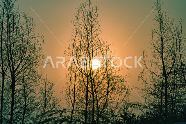 منظر طبيعي لغروب الشمس من وادي جدة الأخضر بالمملكة العربية السعودية, جمال الطبيعه الخلابه, السياحه في جده