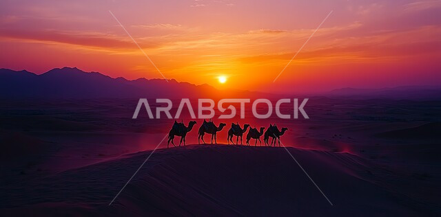 Animal-based travel and migration in the desert, silhouette of a group of camels in the desert, hills and sand dunes in desert areas, dry terrain and mountainous nature, livestock breeding and care, a caravan of camels walking on soft sand at sunset