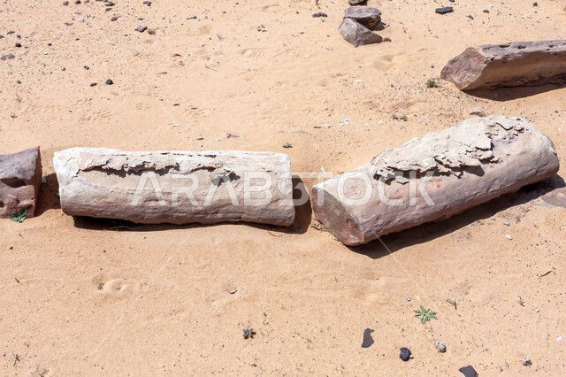 علم الجيولوجيا والأرض، الطبيعة الجافة والبيئة القاحلة، الرمال الذهبية الناعمة في المناطق الصحراوية، جذوع أشجار متحجرة في صحراء مدينة الرياض بالمملكة العربية السعودية، الآثار الطبيعية المتشكلة في الصحاري على مر آلاف السنين
