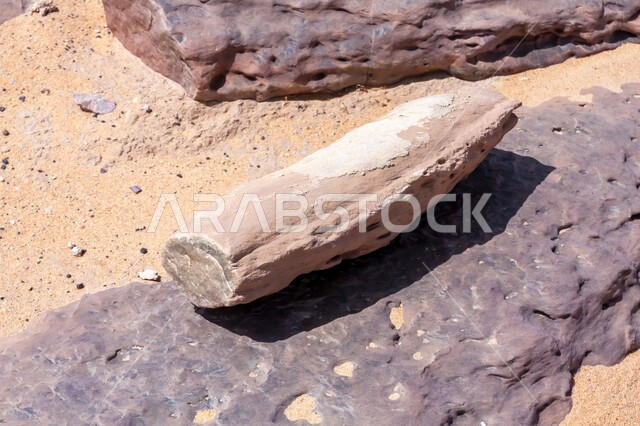 Geology and Earth Science, Dry Nature and Arid Environment, Soft Golden Sands in Desert Areas, Petrified Tree Trunks in the Desert of Riyadh, Saudi Arabia, Natural Monuments Formed in Deserts Over Thousands of Years