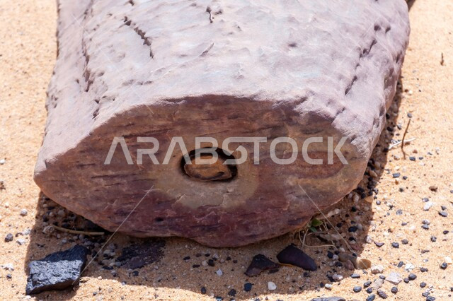 Geology and Earth Science, Dry Nature and Arid Environment, Soft Golden Sands in Desert Areas, Petrified Tree Trunks in the Desert of Riyadh, Saudi Arabia, Natural Monuments Formed in Deserts Over Thousands of Years