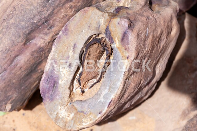  جذوع أشجار متحجرة في صحراء مدينة الرياض بالمملكة العربية السعودية، علم الجيولوجيا والأرض، الطبيعة الجافة والبيئة القاحلة، الرمال الذهبية الناعمة في المناطق الصحراوية،الآثار الطبيعية المتشكلة في الصحاري على مر آلاف السنين