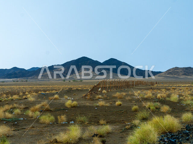 Natural rock formations and mountains in the desert of Saudi Arabia, historical and archaeological tourist attractions, desert nature during the day, green plants on land