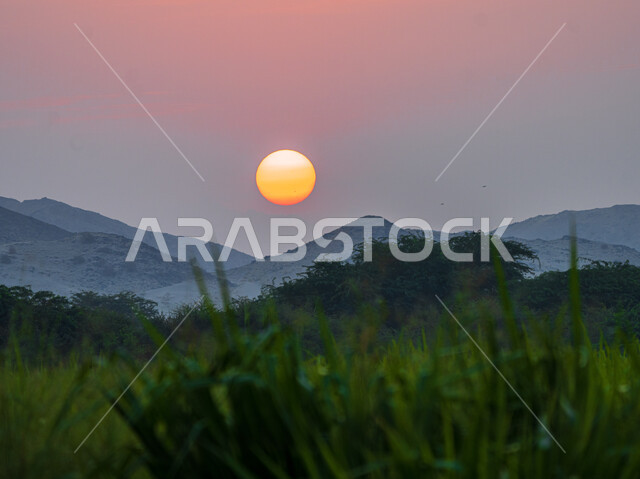 الأشجار والنباتات الخضراء الممتدة على المدرجات الزراعية في المملكة العربية السعودية, التكوينات والجبال الصخرية الطبيعية في الطبيعة الصحراية، منظر غروب الشمس فوق السلسلة الجبلية
