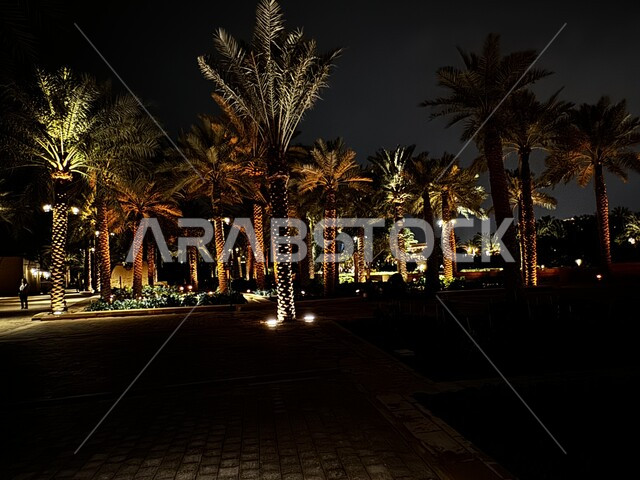 معالم السعودية التاريخية، المباني الاثرية القديمة، زراعة النباتات و أشجار النخيل, مشروع تطوير الدرعيه التاريخيه، اماكن سياحيه تاريخيه اثريه مشهوره في الرياض, حي الطريف التاريخي في الرياض في المملكة العربية السعودية ليلا