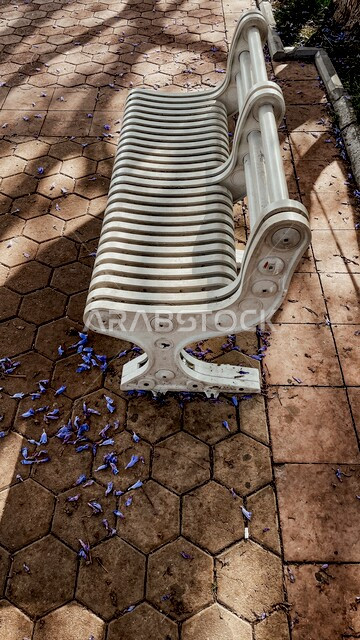 مقعد خشبي أبيض اللون في أحد شوارع مدينة أبها الجميلة ، مجموعة من أزهار شجرة الجاكراندا البنفسجية الساحرة المنثورة على الأرض ، جمال الطبيعة الخلابة في المملكة العربية السعودية