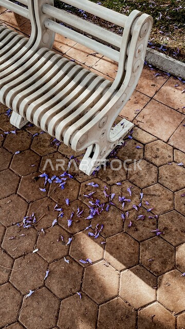 مقعد خشبي أبيض اللون في أحد شوارع مدينة أبها الجميلة ، مجموعة من أزهار شجرة الجاكراندا البنفسجية الساحرة المنثورة على الأرض ، جمال الطبيعة الخلابة في المملكة العربية السعودية