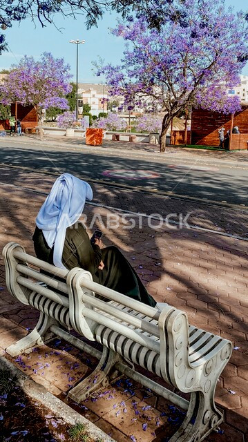 صورة من الخلف لرجل عربي سعودي يجلس على مقعد خشبي أبيض اللون في أحد شوارع مدينة أبها الجميلة ، جمال أشجار أزهار الجاكراندا الموسمية البنفسجية في شوارع أبها ، روعة الطبيعة الخلابة في المملكة العربية السعودية