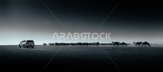  مغامرة سفاري على الكثبان الرملية في المملكة العربية السعودية, سيارة الدفع الرباعي الجبلية على رمال الصحراء الذهبية الناعمة, التلال الرملية والتشكيلات والتكوينات الصخرية في الصحارى العربية, الأنشطة الترفيهية لقيادة السيارات في المناطق الصحراوية