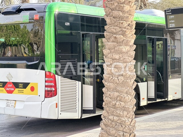 حافلة الرياض متوقفة عند المحطة تنتظر صعود الركاب, صورة مقربة لجذع شجرة النخيل في وقت النهار, وسائل النقل والمواصلات الحديثة, سهولة التنقل بين المناطق في المملكة العربية السعودية