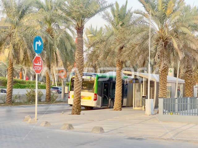 وسائل النقل والمواصلات الحديثة, حافلة الرياض متوقفة عند المحطة تنتظر صعود الركاب في وقت النهار, الاهتمام في زراعه أشجار النخيل الخضراء, سهولة التنقل بين المناطق في المملكة العربية السعودية