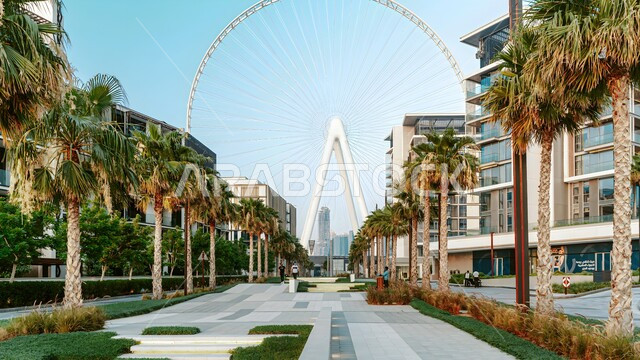 Progress, growth and urban expansion, the Ain Dubai wheel between buildings during the day, the architectural art of towers and skyscrapers in the United Arab Emirates, Dubai's landmarks and tourist places, attracting and attracting people from all over the world