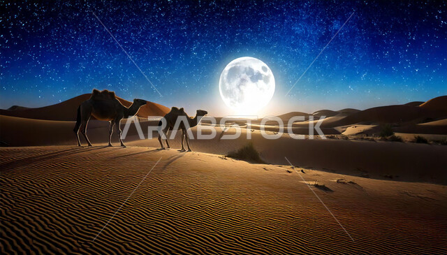 تربيه ورعايه المواشي, وسائل النقل والمواصلات القديمة، منظر القمر المضيء في السماء، حيوانات الابل تسير على الكثبان الرملية في صحاري المملكة العربية السعودية ليلا، الرمال الذهبية الناعمة، الاهتمام والعناية بالثدييات في الصحراء