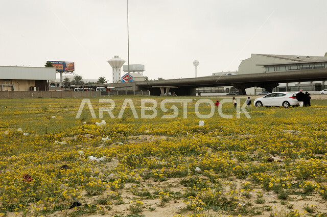 معالم مشهوره لجذب السياح في مدينة الدمام، الفن الهندسي والمعماري للمناطق السياحية في المملكة، عائلة عربية خليجية سعودية في إحدى الحدائق الترفيهية، نزهات ترفيهية عائلية في وقت النهار بالمملكة العربية السعودية