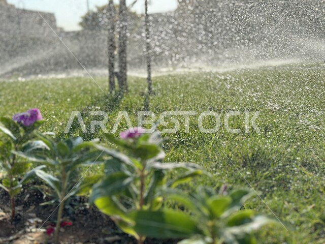 الات ومعدات الري المستقبلي الاوتوماتيكي في حقل زراعي بالمملكة العربية السعودية، الاراضي والحقول الزراعية، الاعتناء والاهتمام بالاشجار والنباتات الخضراء، اذرع الري المحوري 