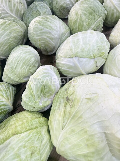 Fresh green cabbage supermarket, foods and meals with nutritional value, interest in local agriculture and self-sufficiency, local national agricultural crops, vegetable cultivation in the fields and farms of the Kingdom of Saudi Arabia, the vegetable and fruit market in Riyadh