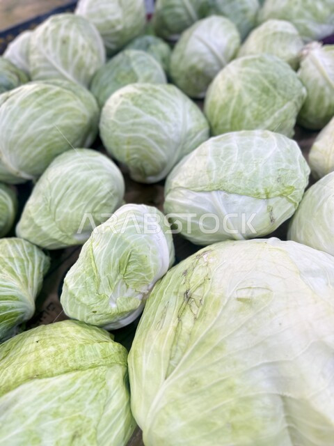 Fresh green cabbage supermarket, foods and meals with nutritional value, interest in local agriculture and self-sufficiency, local national agricultural crops, vegetable cultivation in the fields and farms of the Kingdom of Saudi Arabia, the vegetable and fruit market in Riyadh
