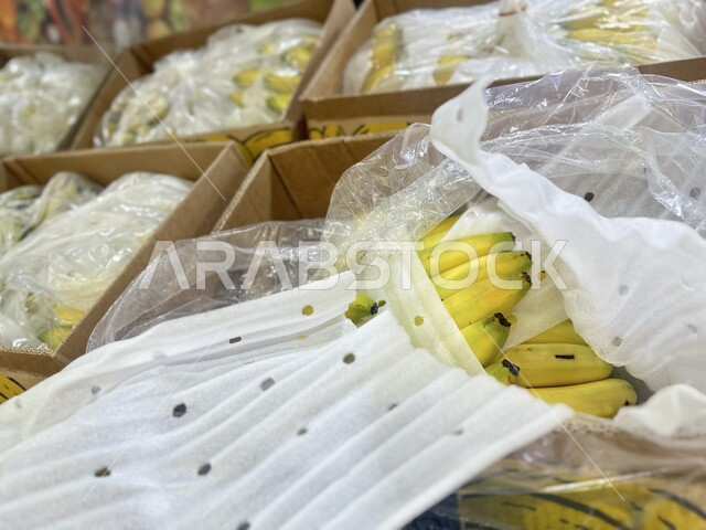 صندوق يحوي على ثمار الموز الطازجة في السوبر ماركت، أطعمة ومأكولات ذات قيمة غذائية، الاهتمام بالزراعة المحلية والاكتفاء الذاتي، محاصيل زراعية وطنية محلية، زراعة الخضراوات في حقول ومزارع المملكة العربية السعودية، سوق الخضار والفاكهة بالرياض