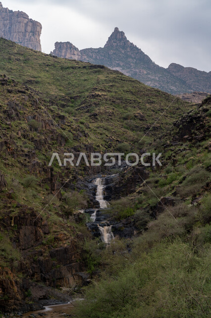 القمم والمرتفعات في جبال منطقة الباحة, المعالم السياحية الطبيعية المشهورة في المملكة العربية السعودية، أماكن لجذب واستقطاب السياح من أنحاء العالم, التشكيلات والتضاريس الصخرية في المناطق الجبلية, نمو النباتات الخضراء