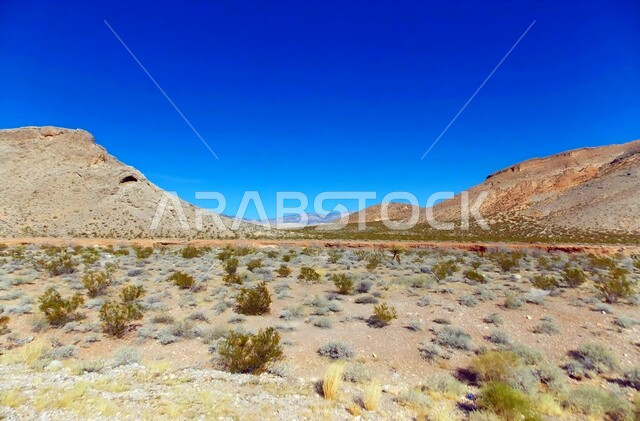 نمو النباتات البرية في الصحراء، الاستمتاع بالمناظر الطبيعية في المناطق الصحراوية وقت النهار، التضاريس والنحت الصخري في القمم الجبلية المرتفعة، التكوينات والتشكيلات الصخرية في المملكة العربية السعودية، معالم سياحية مشهورة