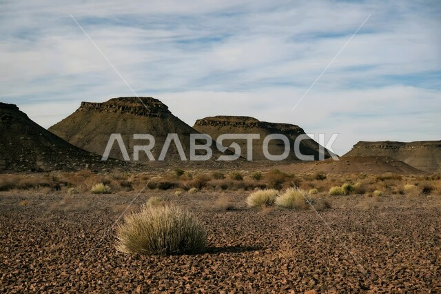 Enjoying the scenery in the desert areas during the day, the growth of wild plants in the desert, the terrain and rock carvings in the high mountain peaks, the rock formations and formations in the Kingdom of Saudi Arabia, famous tourist attractions