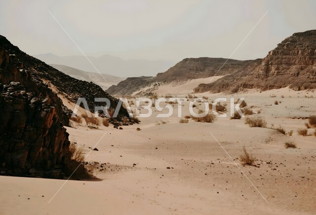  التكوينات والتشكيلات الصخرية في المملكة العربية السعودية، الاستمتاع بالمناظر الطبيعية في المناطق الصحراوية وقت النهار، نمو النباتات البرية في الصحراء، التضاريس والنحت الصخري في القمم الجبلية المرتفعة، معالم سياحية مشهورة