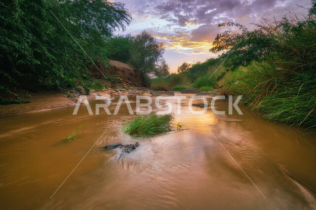 جريان الماء بين الأودية والجبال, مياه العين الحارة في محافظة الحرث في منطقة جازان، البيئة الجبلية والأشجار الخضراء, المعالم الطبيعية السياحية, جمال الواحة الطبيعية الخلابة في المملكة العربية السعودية