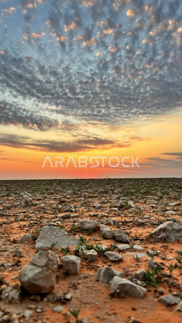 الحقول والبساتين في المملكة العربية السعودية، الاستماع بالأجواء الربيعية المنعشة، منظر السماء الملبدة بالغيوم المتداخلة مع لون الغروب، تأمل المناظر الطبيعية، نمو الأعشاب والنباتات الخضراء في الأراضي الترابية، خلفية الطبيعة