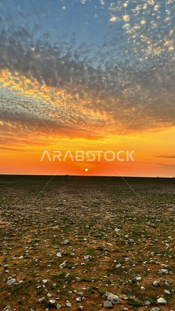 نمو الأعشاب والنباتات الخضراء في الأراضي الترابية، منظر السماء الملبدة بالغيوم المتداخلة مع لون الغروب، الحقول والبساتين في المملكة العربية السعودية، الاستماع بالأجواء الربيعية المنعشة، تأمل المناظر الطبيعية، خلفية الطبيعة
