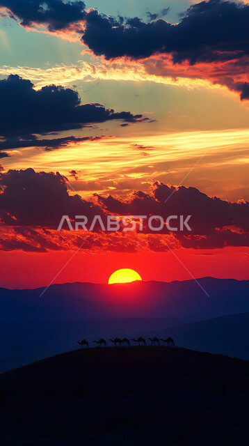 محميات طبيعية لتربية الجمال في المناطق الصحراوية, التشكيلات والتكوينات والكثبان الرملية, مزارع للاهتمام بالابل في صحاري المملكة العربية السعودية, صورة ظلية لناقة تسير على الرمال الذهبية الناعمة في الصحراء, رعاية الثدييات والمواشي, سالوليت