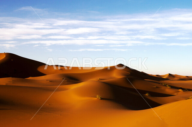 الكثبان الذهبية الناعمة والتضاريس الطبيعية في المملكة العربية السعودية، التكوينات والتشكلات الرملية في الصحاري، الجو القاسي والجاف في الأراضي القاحلة، المناظر الطبيعية والرمال الذهبية الناعمة في الصحراء في النهار