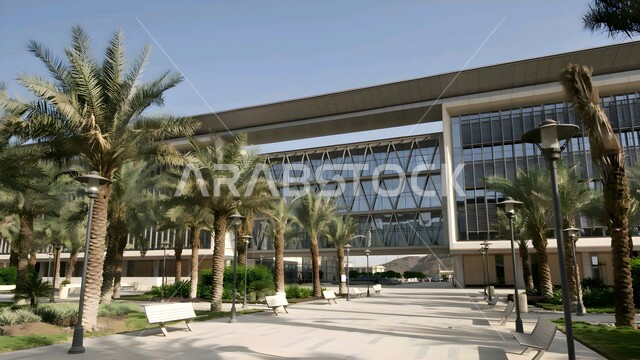 الاهتمام بزراعة الاشجار والنباتات الخضراء, جامعة الملك سعود في مدينة الرياض , تقدم وتطور التعليم الجامعي في الممكله العربيه السعوديه، جامعات حكوميه راقيه, معالم ومباني ومنشآت الجامعه, رؤية السعودية 2030