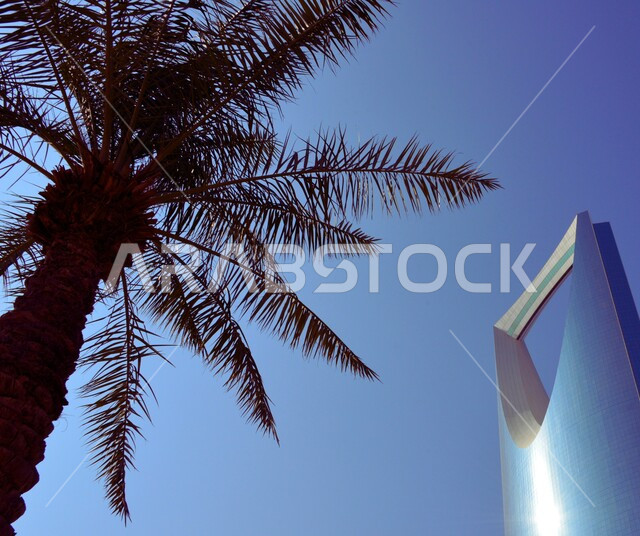 برج المملكة في مدينة الرياض، جذب واستقطاب السياح من أنحاء العالم, الفن الهندسي المعماري لبناء الأبراج وناطحات السحاب, التقدم والنمو العمراني, الأماكن والمعالم السياحية المشهورة في المملكة العربية السعودية، الاهتمام بأشجار النخيل والنباتات الخضراء