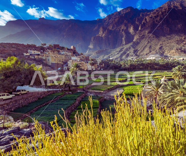 السفوح الخضراء والمنحدرات الجبلية، المساحات الواسعة في احدى المنتزهات في سلطنة عمان، أماكن سياحية للتنزه، الاستمتاع بالمناظر الطبيعية بين الأشجار والنباتات الخضراء الكثيفة على الجبال