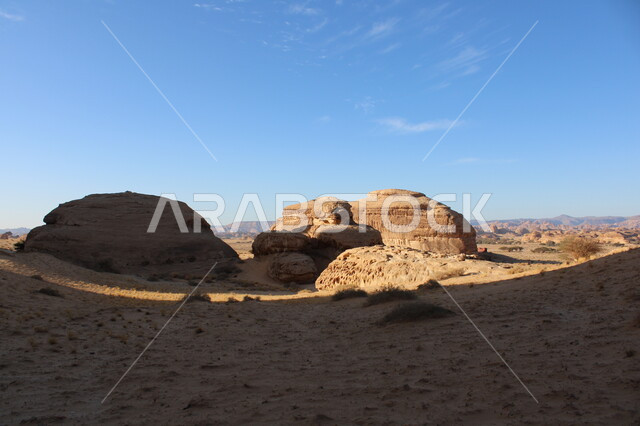 التشكيلات و التكوينات الصخرية في العلا وسط صحاري المملكة العربية السعودية، الأماكن السياحية في المناطق الصحراوية، نمو النباتات البرية والشوكيات في الصحراء، المعالم الأثرية التاريخية التراثية القديمة في مدائن صالح