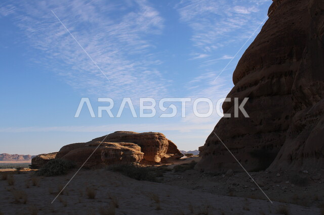 التشكيلات و التكوينات الصخرية في العلا وسط صحاري المملكة العربية السعودية، الأماكن السياحية في المناطق الصحراوية، نمو النباتات البرية والشوكيات في الصحراء، المعالم الأثرية التاريخية التراثية القديمة في مدائن صالح