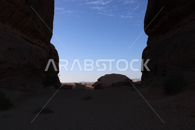 Ancient historical heritage monuments in Madain Saleh, growth of wild plants and thorns in the desert, tourist places in desert areas, silhouette of rock formations and formations in AlUla in the middle of the deserts of the Kingdom of Saudi Arabia, cellulite