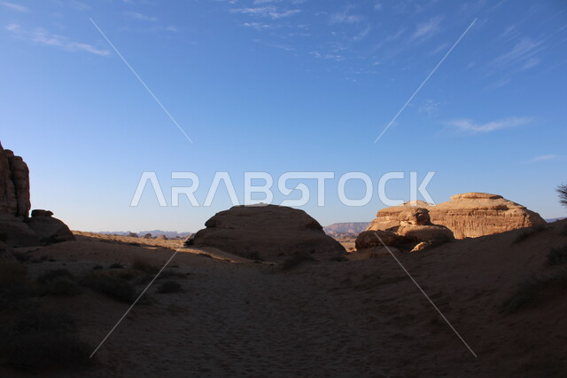 المعالم الأثرية التاريخية التراثية القديمة في مدائن صالح، نمو النباتات البرية والشوكيات في الصحراء، الأماكن السياحية في المناطق الصحراوية، صورة ظلية للتشكيلات و التكوينات الصخرية في العلا وسط صحاري المملكة العربية السعودية، سيلوليت