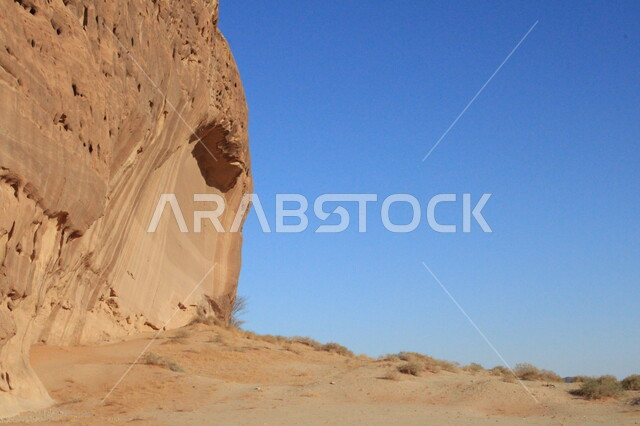 The ancient historical heritage monuments in Madain Saleh, the growth of wild plants and thorns in the desert, tourist places in desert areas, rock formations and formations in AlUla in the middle of the deserts of the Kingdom of Saudi Arabia