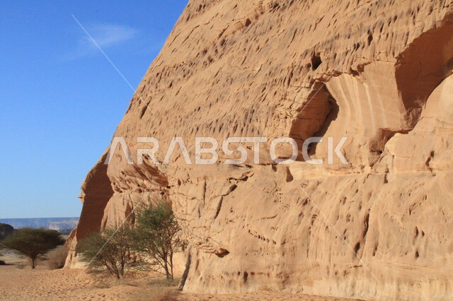 المعالم الأثرية التاريخية التراثية القديمة في مدائن صالح، نمو النباتات البرية والشوكيات في الصحراء، الأماكن السياحية في المناطق الصحراوية، التشكيلات و التكوينات الصخرية في العلا وسط صحاري المملكة العربية السعودية