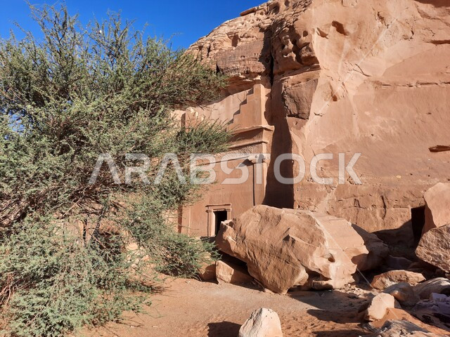 التشكيلات و التكوينات الصخرية في العلا وسط صحاري المملكة العربية السعودية، المعالم التاريخية القديمة في مدائن صالح، منظر الكهوف التراثية في موقع الحِجر الأثري في الصحراء، الأماكن السياحية في المناطق الصحراوية، نمو النباتات الشوكية والبرية