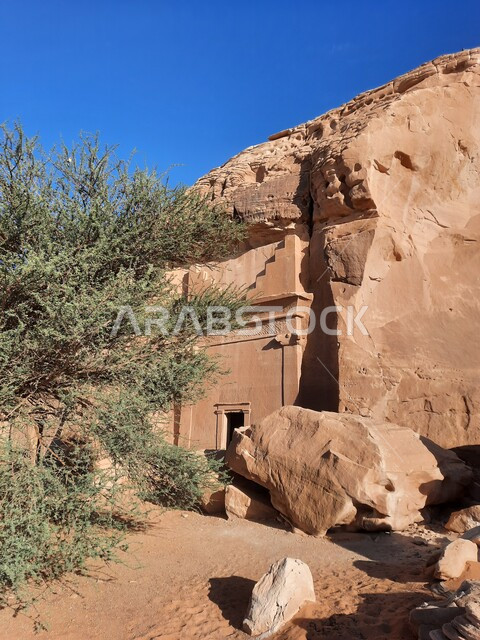 التشكيلات و التكوينات الصخرية في العلا وسط صحاري المملكة العربية السعودية، المعالم التاريخية القديمة في مدائن صالح، منظر الكهوف التراثية في موقع الحِجر الأثري في الصحراء، الأماكن السياحية في المناطق الصحراوية، نمو النباتات الشوكية والبرية