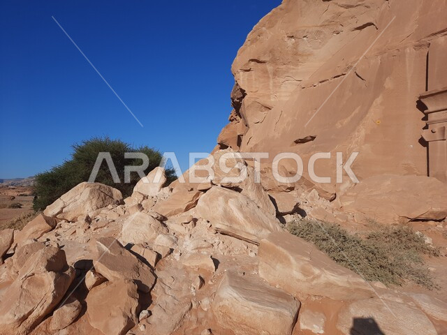 التكوينات و التشكيلات الصخرية في العلا وسط صحاري المملكة العربية السعودية، المعالم التاريخية القديمة في مدائن صالح، منظر الكهوف التراثية في موقع الحِجر الأثري في الصحراء، الأماكن السياحية في المناطق الصحراوية، نمو النباتات الشوكية والبرية