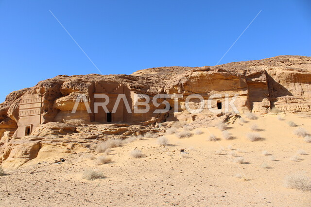 التكوينات و التشكيلات الصخرية في العلا وسط صحاري المملكة العربية السعودية، المعالم التاريخية القديمة في مدائن صالح، منظر الكهوف التراثية في موقع الحِجر الأثري في الصحراء، الأماكن السياحية في المناطق الصحراوية، نمو النباتات الشوكية والبرية